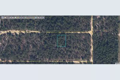 6213 Olgethorpe Avenue, Keystone Heights, FL 32656 - Photo 1