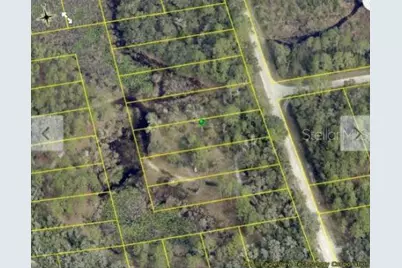 Chimney Rock Drive, Webster, FL 33597 - Photo 5