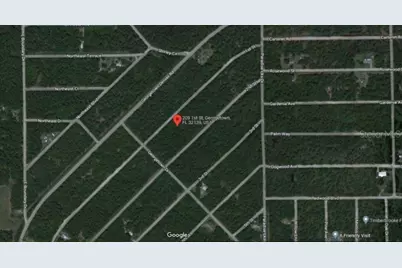 209 SE Paradise Lakes, Georgetown, FL 32139 - Photo 5