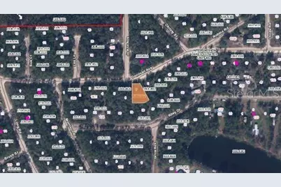 Riley Dr, Interlachen, FL 32148 - Photo 3