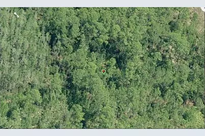 E Colonial Drive, Orlando, FL 32820 - Photo 3