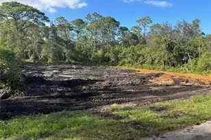 1518 Winter Rd, Lake Placid, FL 33852 - Photo 1