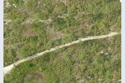 Dill Road, Orlando, FL 32820 - Photo 3