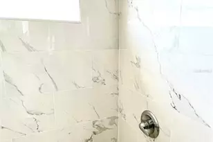 492 Tupelo Cir, Davenport, FL 33897 - Photo 49