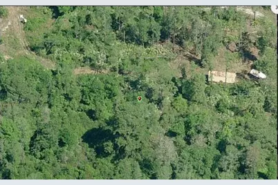 1000 Greenbriar Drive, Christmas, FL 32709 - Photo 3