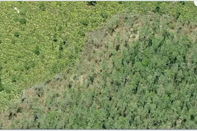 E Colonial Drive, Orlando, FL 32820 - Photo 3