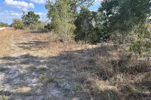 2817 56th St W, Lehigh Acres, FL 33971 - Photo 11