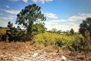 2817 56th St W, Lehigh Acres, FL 33971 - Photo 5