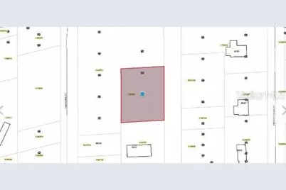 Maryland Street, Paisley, FL 32767 - Photo 3