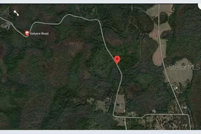 Salyers Road, Clermont, FL 34714 - Photo 3