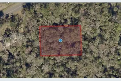 River Road, Astor, FL 32102 - Photo 3