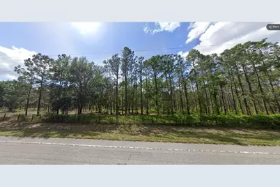 Cr-33, Groveland, FL 34736 - Photo 5