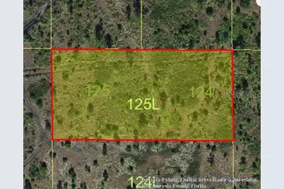 Holopaw Groves Road, Saint Cloud, FL 34773 - Photo 3