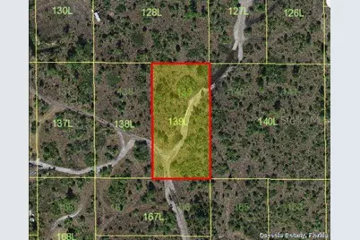 Holopaw Groves Road, Saint Cloud, FL 34773 - Photo 3