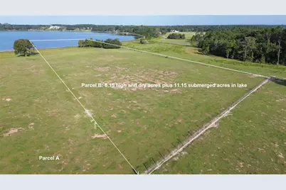 Lot B Burhans Road, Eustis, FL 32736 - Photo 5
