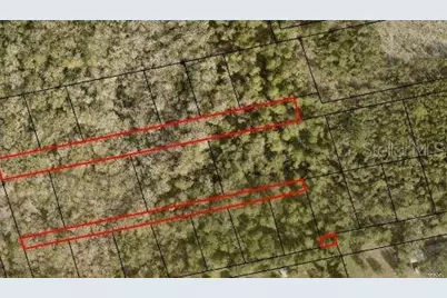 2313 US Highway 1, Mims, FL 32754 - Photo 3