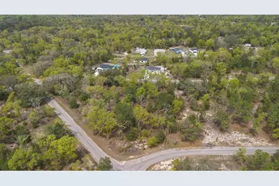 Guava Pass Way, Ocklawaha, FL 32179 - Photo 23