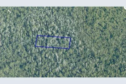 Dill Road, Orlando, FL 32820 - Photo 3