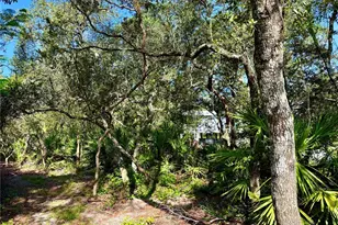 21343 SE 142nd Pl, Umatilla, FL 32784 - Photo 53