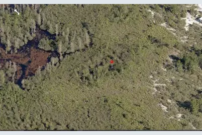 Holopaw Groves Road, Saint Cloud, FL 34773 - Photo 3