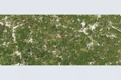 Holopaw Groves Road, Saint Cloud, FL 34773 - Photo 3