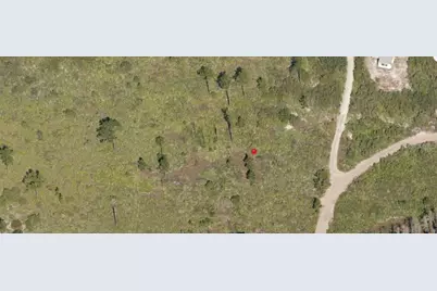 Holopaw Groves Road, Saint Cloud, FL 34773 - Photo 3