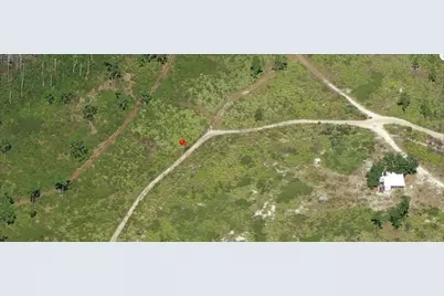 Holopaw Groves Road, Saint Cloud, FL 34773 - Photo 3