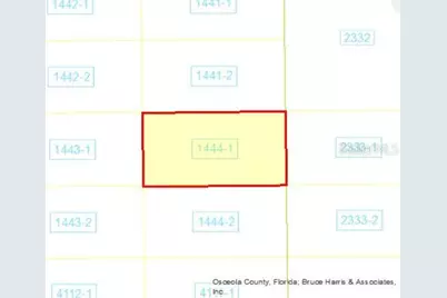 Holopaw Groves Road, Saint Cloud, FL 34773 - Photo 3