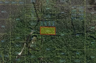 Holopaw Groves Rd, Saint Cloud, FL 34773 - Photo 1