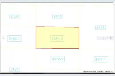 Holopaw Groves Road, Saint Cloud, FL 34773 - Photo 3