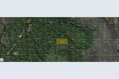 Holopaw Groves Road, Saint Cloud, FL 34773 - Photo 1