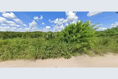 Holopaw Groves Road, Saint Cloud, FL 34773 - Photo 3