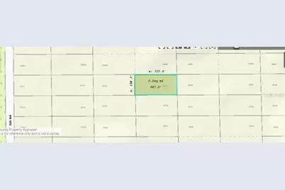 Dill Road, Orlando, FL 32820 - Photo 3