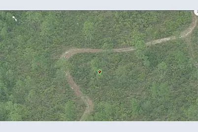 Fort Christmas Road, Orlando, FL 32820 - Photo 3