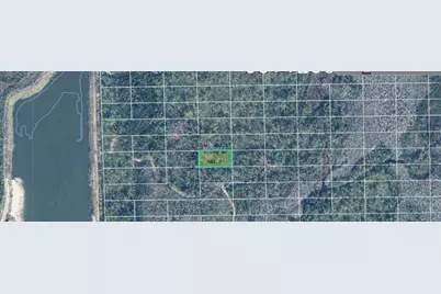 Dill Road, Orlando, FL 32820 - Photo 3