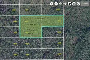 Dill Rd, Orlando, FL 32820 - Photo 1