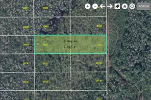 Dill Rd, Orlando, FL 32820 - Photo 1