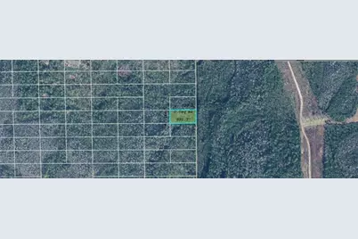 Dill Road, Orlando, FL 32820 - Photo 1