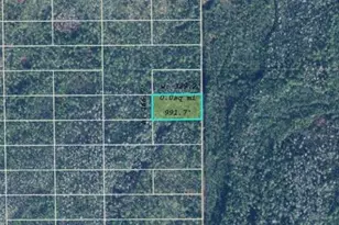 Dill Rd, Orlando, FL 32820 - Photo 1