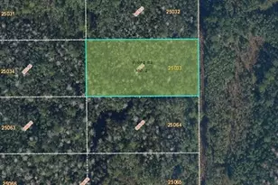 Dill Rd, Orlando, FL 32820 - Photo 1