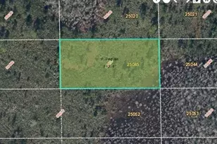 Dill Rd, Orlando, FL 32820 - Photo 1