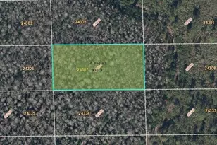 Dill Rd, Orlando, FL 32820 - Photo 1