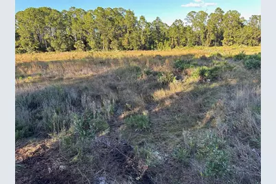 1090 Homestead Cove, Geneva, FL 32732 - Photo 9