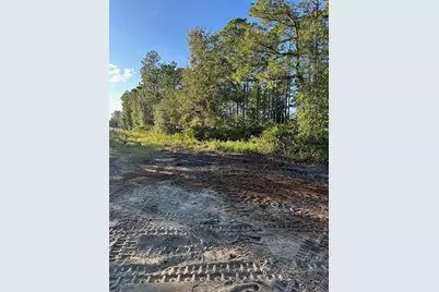 1090 Homestead Cove, Geneva, FL 32732 - Photo 5