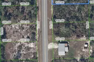 411 Hallmark Ave, Lake Placid, FL 33852 - Photo 1
