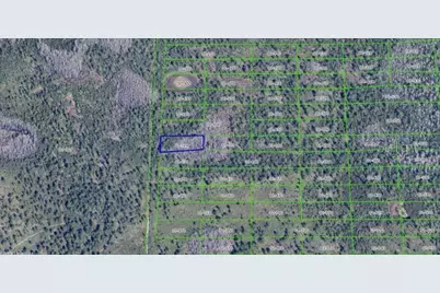 2307 Dill Road, Orlando, FL 32820 - Photo 7