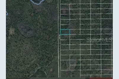 2307 Dill Road, Orlando, FL 32820 - Photo 5