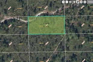 Dill Rd, Orlando, FL 32820 - Photo 1