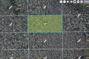 Dill Rd, Orlando, FL 32820 - Photo 1