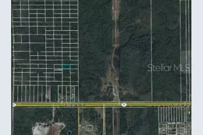 Dill Road, Orlando, FL 32820 - Photo 5